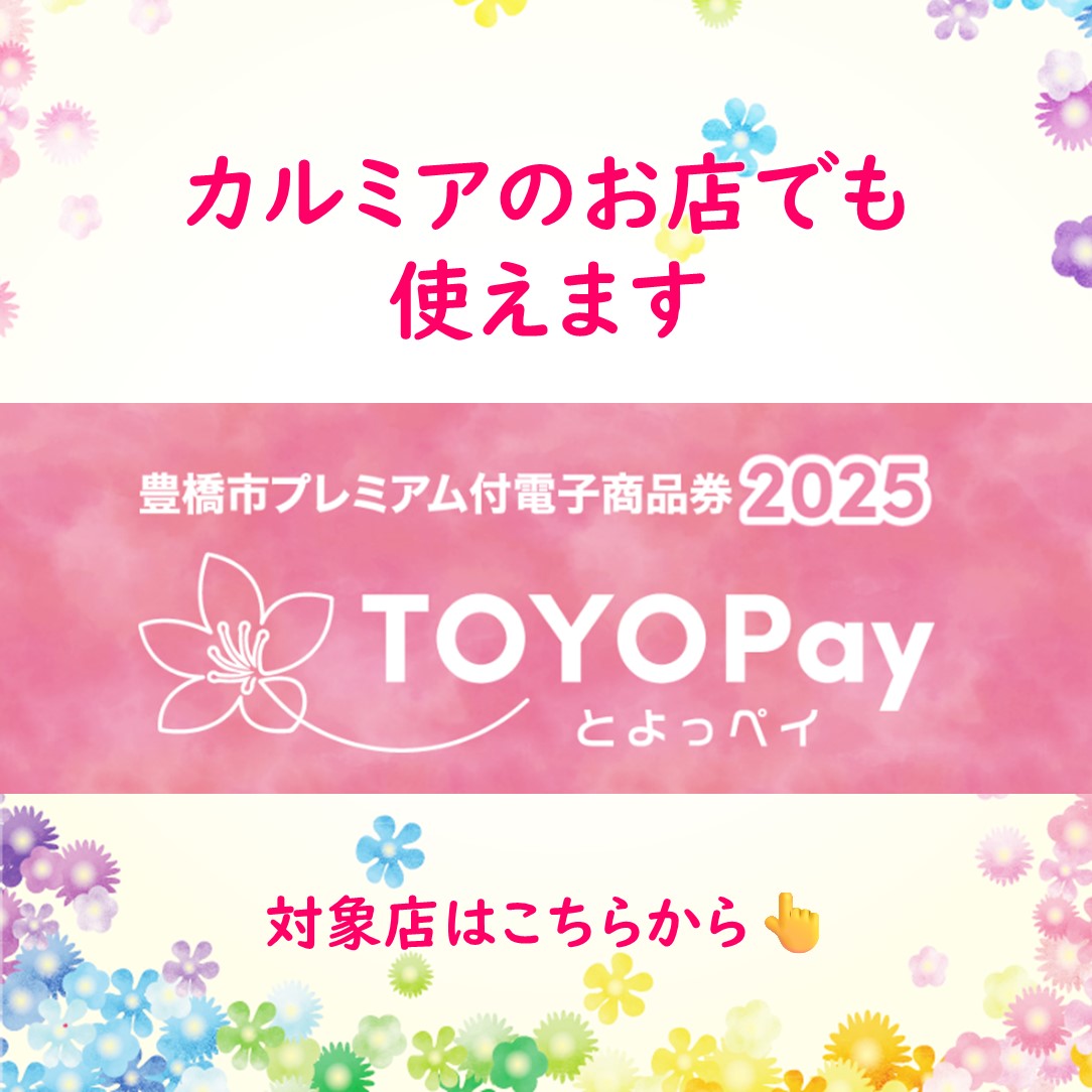TOYOpay